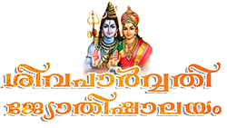 best astrologer in alappuzha